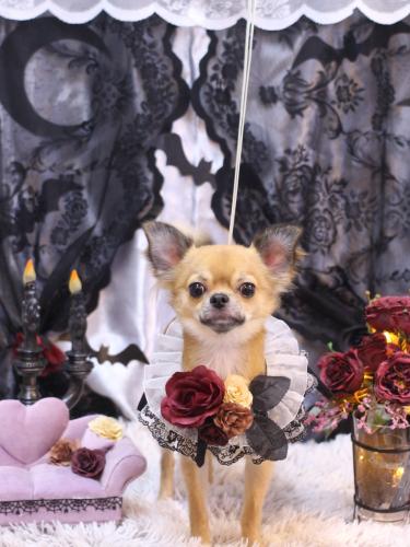 20231021れおくん